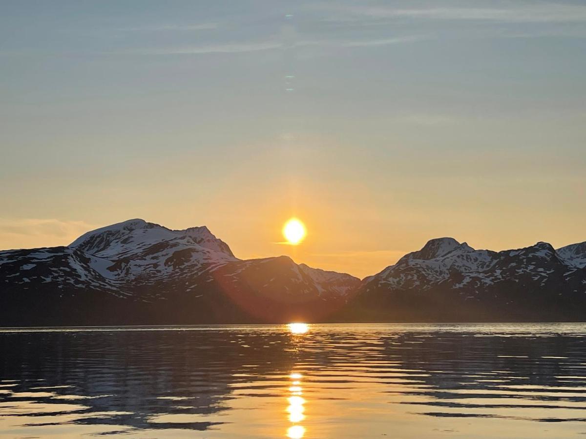 Skittenelv Lodge & Camping Tromso Ngoại thất bức ảnh