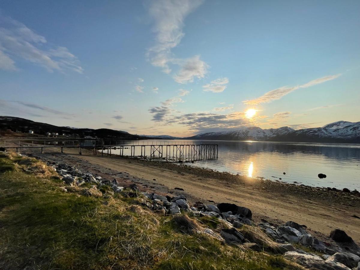 Skittenelv Lodge & Camping Tromso Ngoại thất bức ảnh
